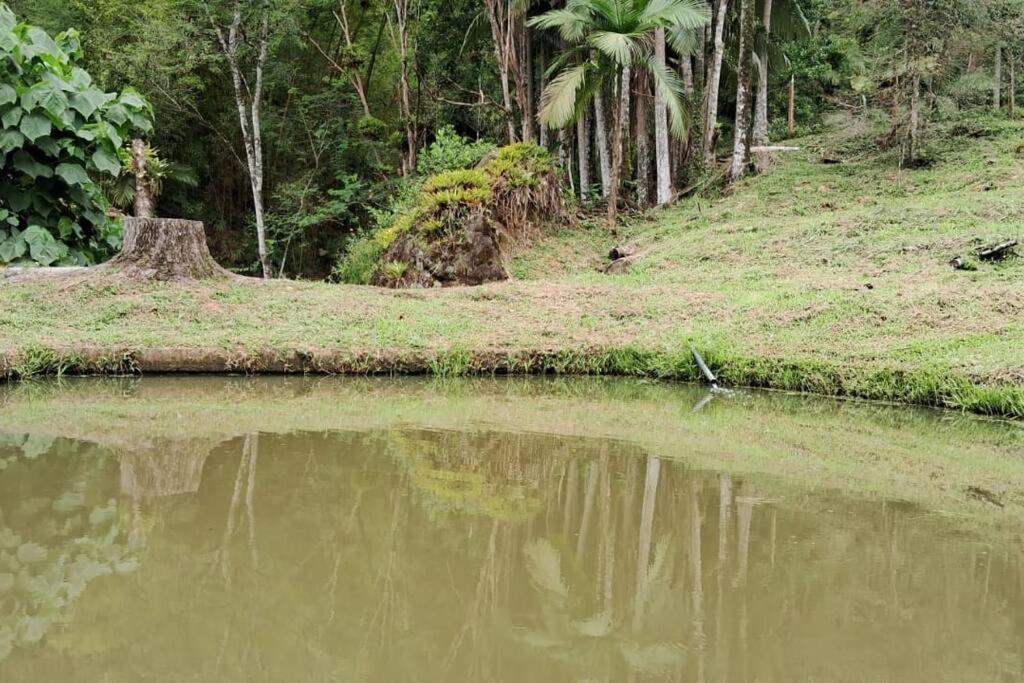 Sitio Som Das Aguas Benedito Novo Exterior foto
