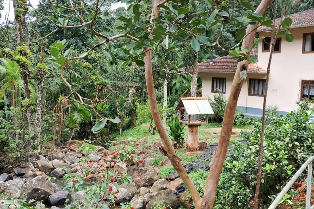 Sitio Som Das Aguas Benedito Novo Exterior foto