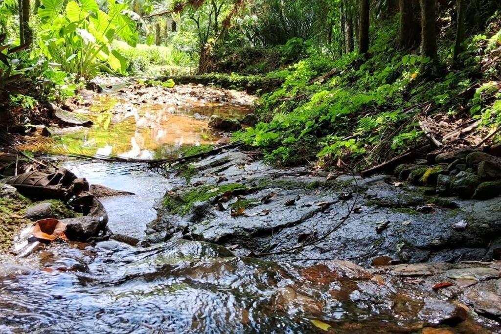 Sitio Som Das Aguas Benedito Novo Exterior foto