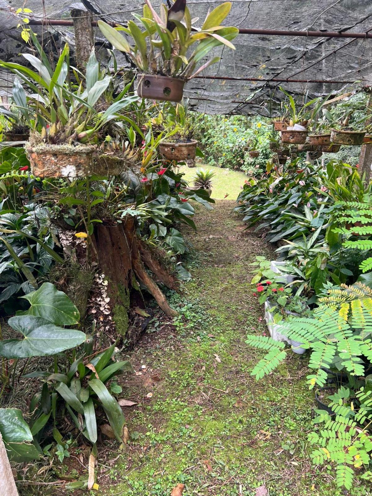 Sitio Som Das Aguas Benedito Novo Exterior foto