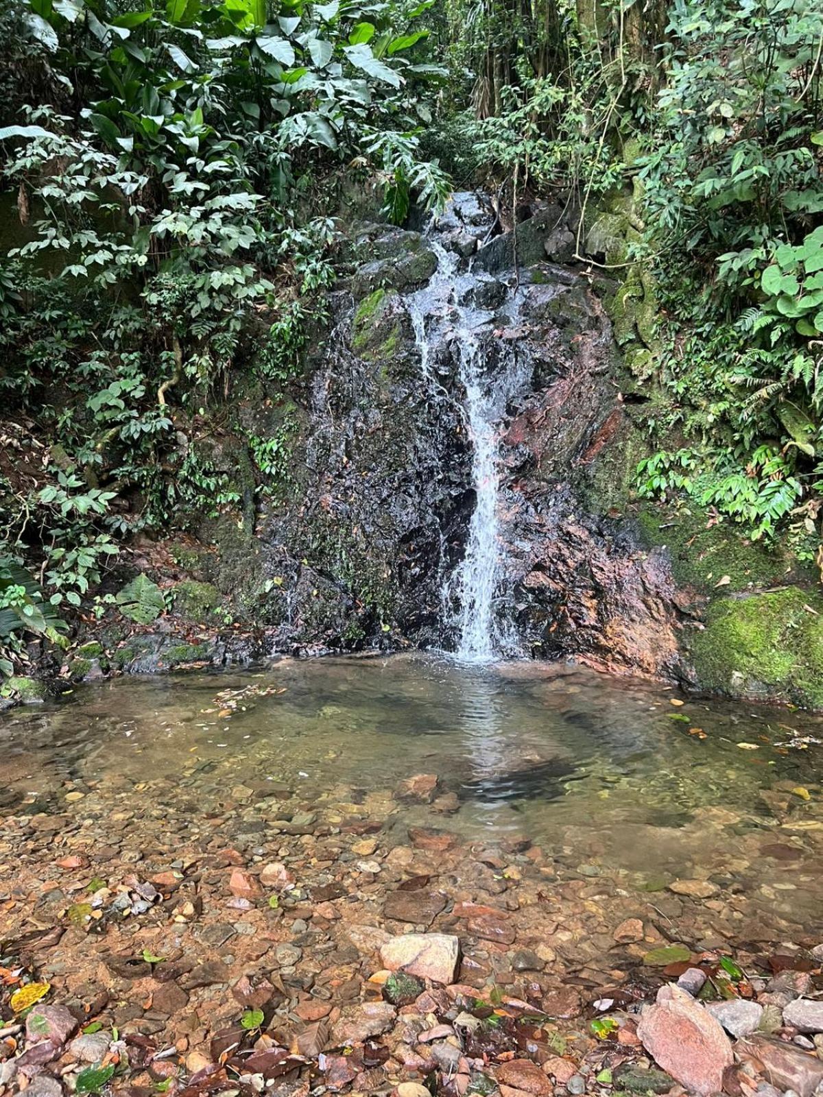 Sitio Som Das Aguas Benedito Novo Exterior foto